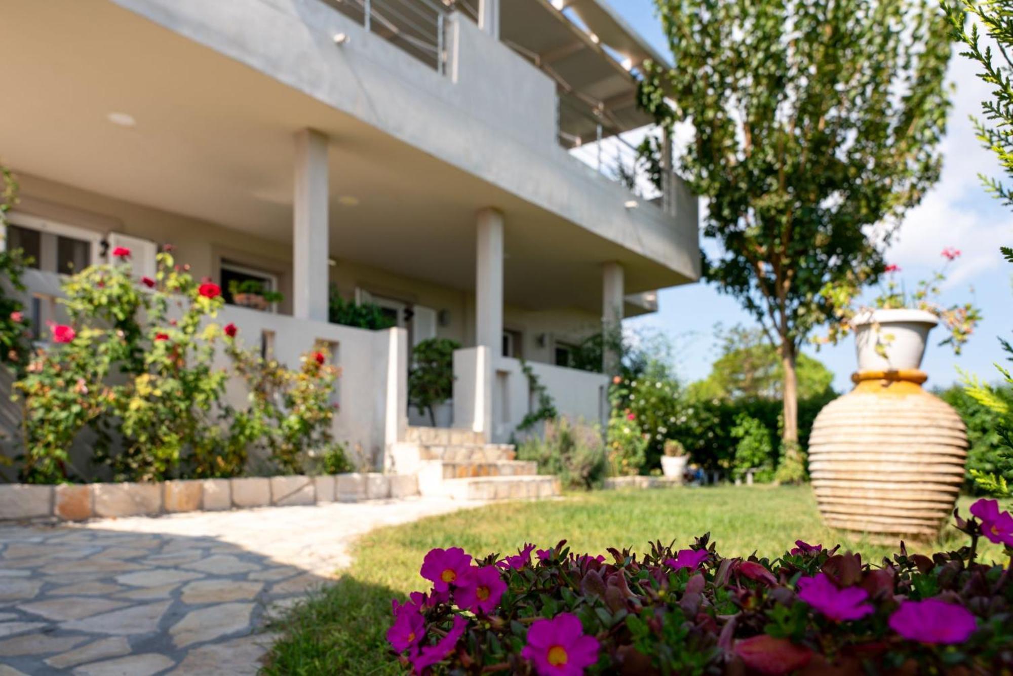 Tesys Studios&Apartments Laganas Exterior foto